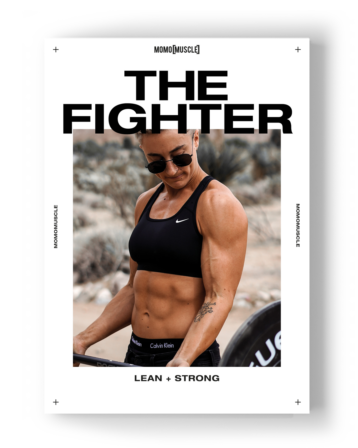 The Fighter Program