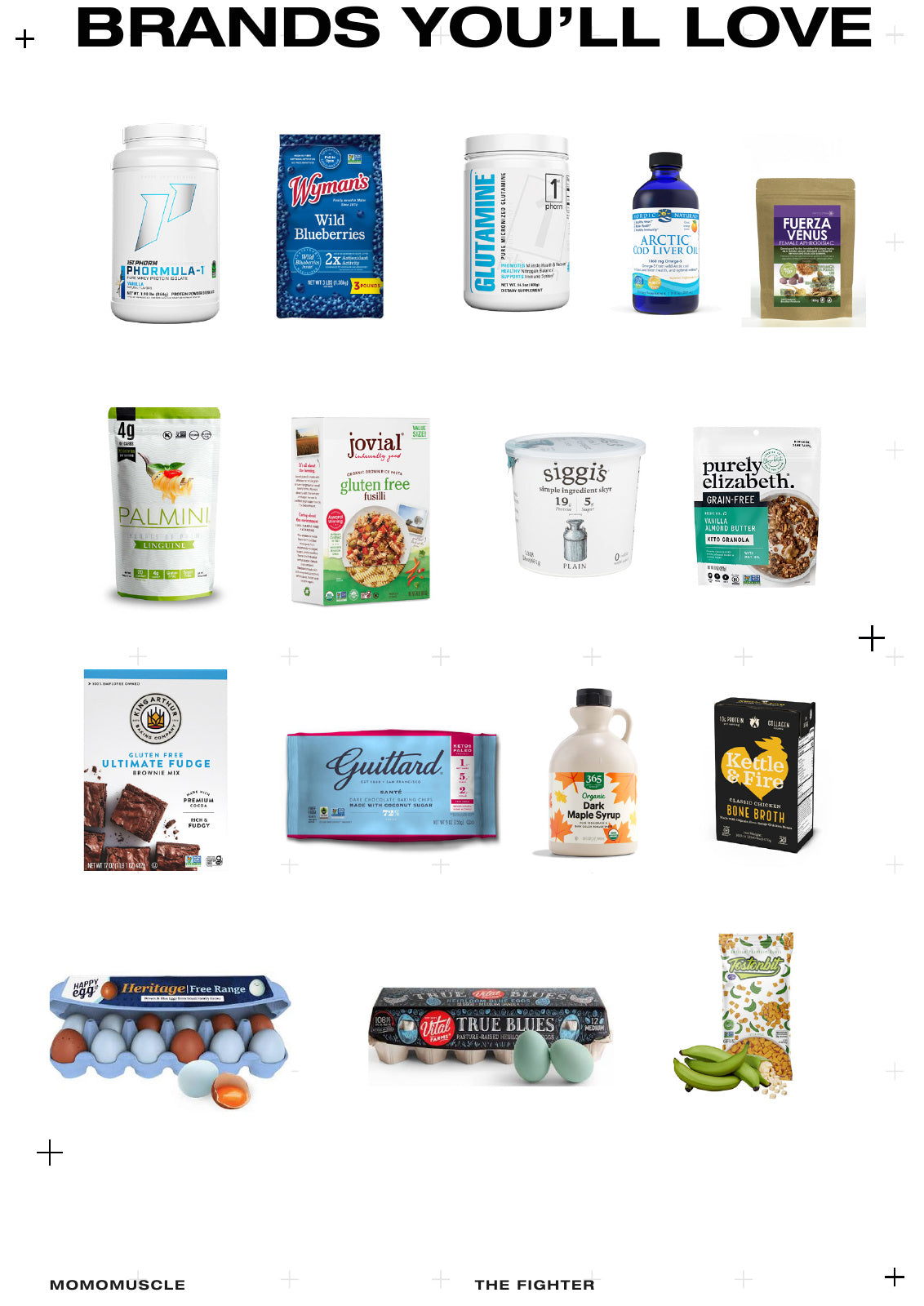 The Fighter Program · page 140 · brands from the guide