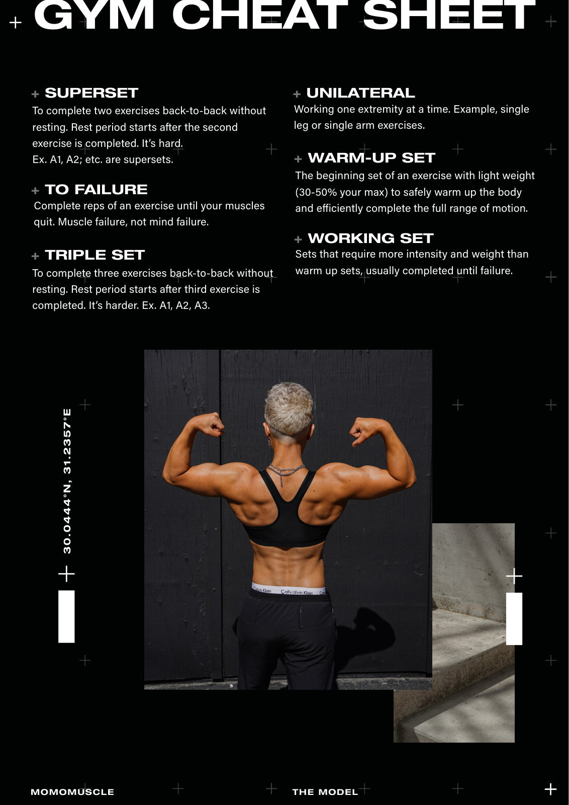 The Model Program · page 15 · the gym cheat sheet