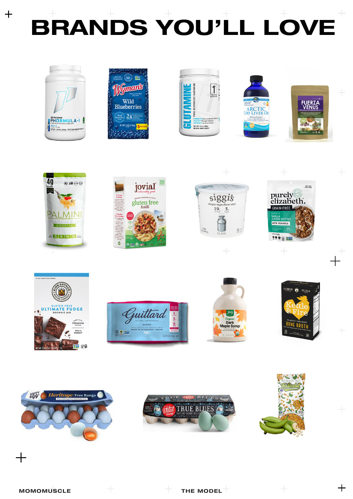 The Model Program · page 134 · brands from the guide