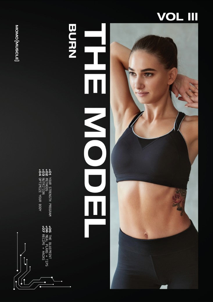 The Model Program