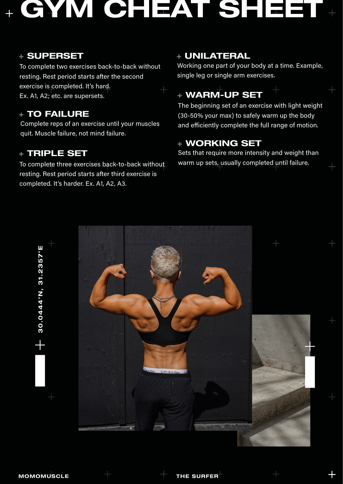 the surfer pdf, page 15: the gym cheat sheet